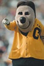 [Oski: Cal Football Team Mascot]